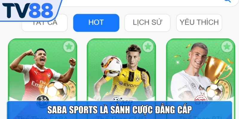 SABA Sports là sảnh cược đẳng cấp phân tích kèo chuyên sâu